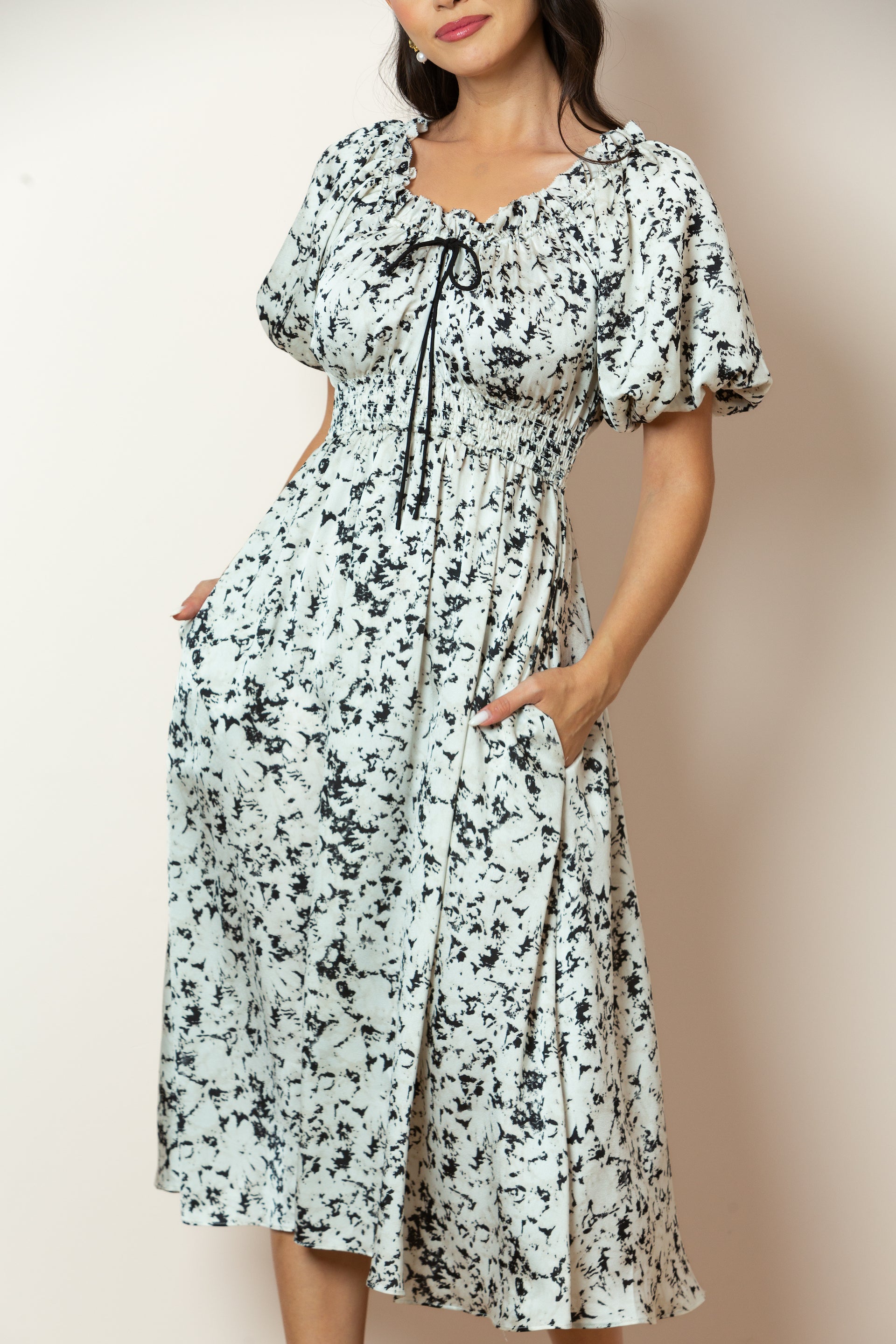 Zenia Print Dress